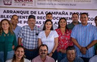 Indira pone en marcha campañas de zona libre de plagas en aguacate