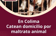 En ColimaCatean domicilio por maltrato animal