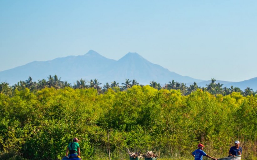 Los Volcanes de Colima vistos desde la desembocadura del río Armería en Boca de Pascuales, Tecomán, Colima, México. 🇲🇽